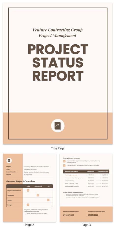 consultant progress report template